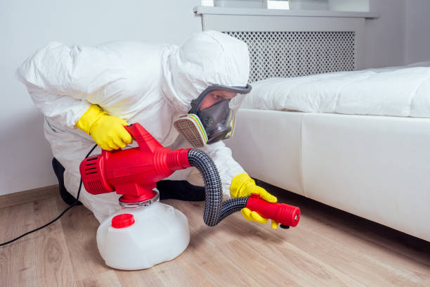 Best Wasp Removal Services  in East Rochester, NY