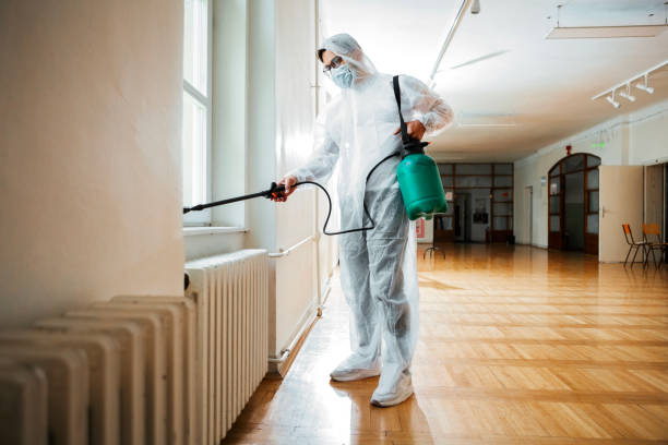 Best Termite Control Services  in East Rochester, NY