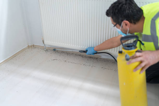 Best Pest Removal Services  in East Rochester, NY